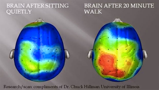 ejercicio y cerebro